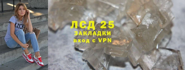 стаф Аркадак