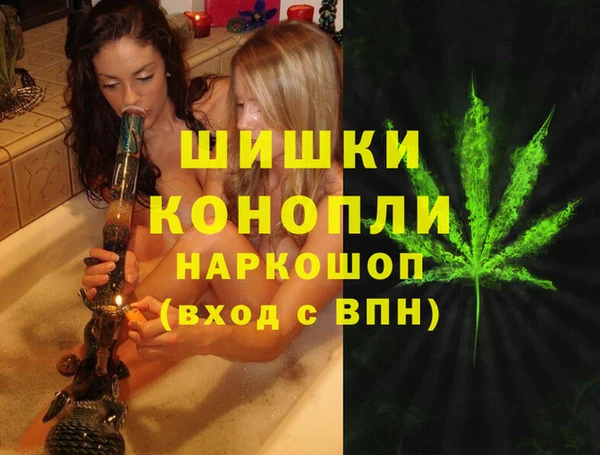 гидра Армянск