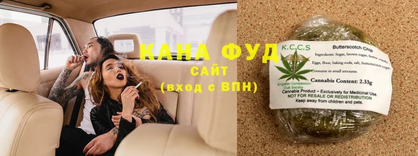 стаф Аркадак