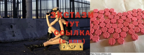 стаф Аркадак