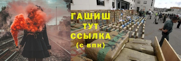 стаф Аркадак