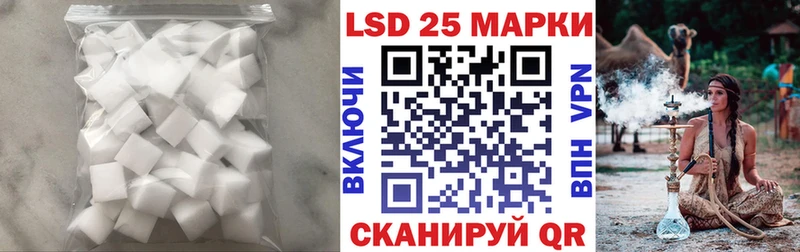 как найти   Приозерск  LSD-25 экстази ecstasy 
