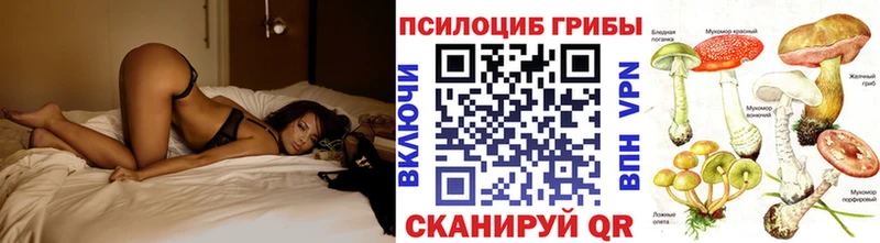 Галлюциногенные грибы Cubensis  Приозерск 